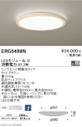 ERG5498N
