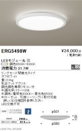 ERG5498W