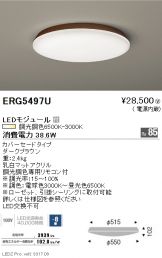 ERG5497U