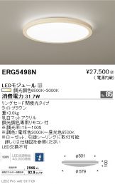 ERG5498N