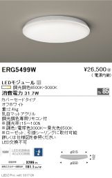 ERG5499W