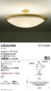 ERG5249K