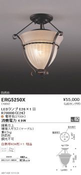 ERG5250X