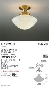 ERG5253K