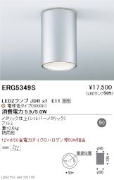 ERG5349S
