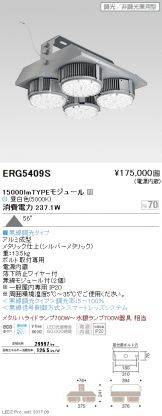 ERG5409S