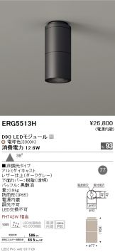 ERG5513H