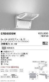 ERB6009W
