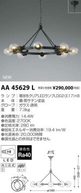 AA45629L