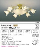 AA40488L