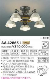 AA42865L