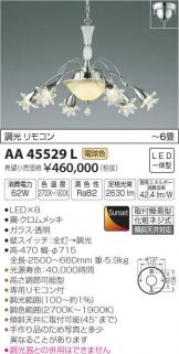 AA45529L