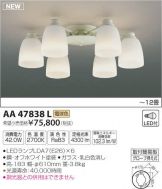 AA47838L