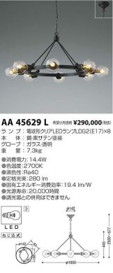 AA45629L