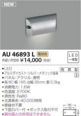 AU46893L