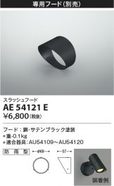 AE54121E