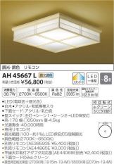 AH45667L
