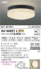 AU46891L