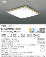 AH48909L