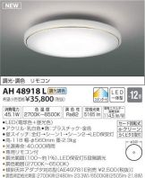 AH48918L