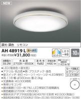 AH48919L