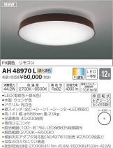 AH48970L