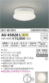 AU45828L