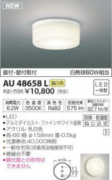 AU48658L