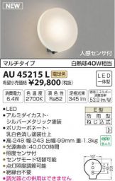 AU45215L