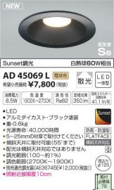 AD45069L