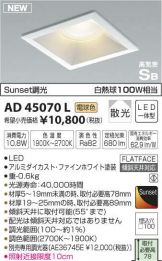 AD45070L
