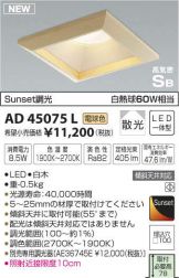 AD45075L