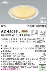 AD45098L