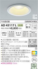 AD45117L