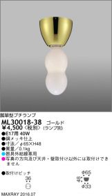 ML30018-38