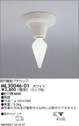 ML30046-01