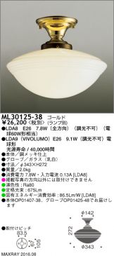 ML30125-38