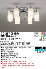 OC257089BR