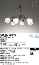 OC257028NC