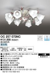 OC257073NC