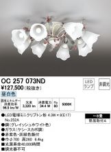 OC257073ND