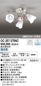 OC257075NC
