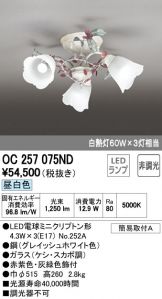 OC257075ND