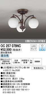OC257079NC