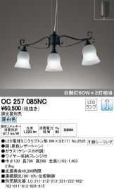 OC257085NC