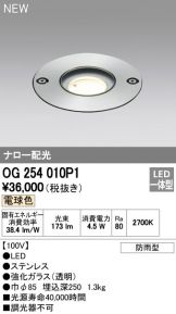 OG254010P1