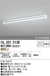 OL251313E