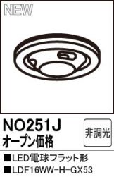 NO251J