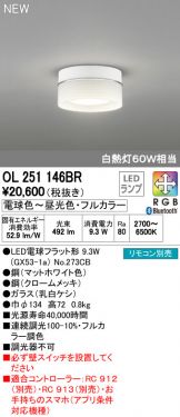 OL251146BR