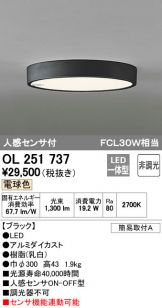 OL251737